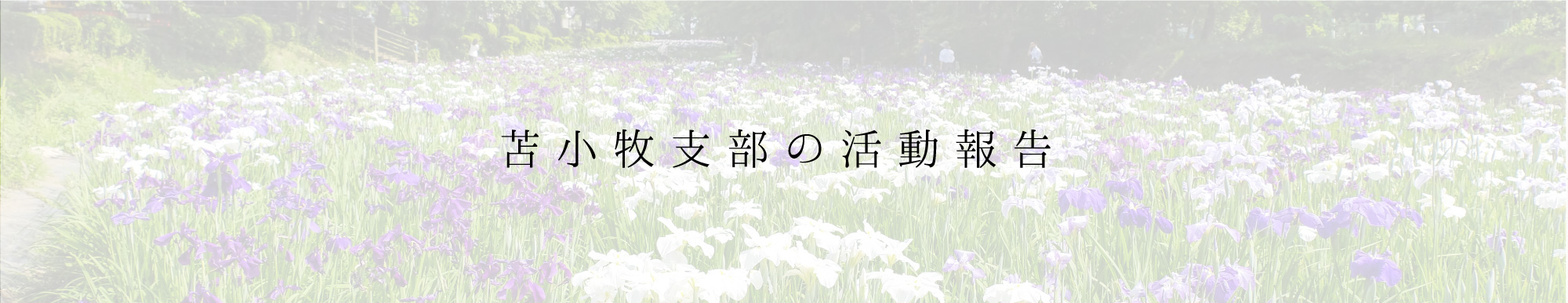 苫小牧支部の活動報告